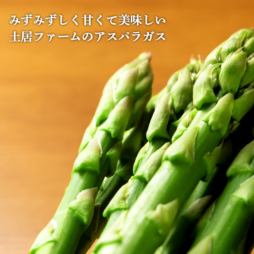 【ふるさと納税】2026年春発送 アスパラ1kgと野菜 おまかせ 詰め合わせセット【土居ファーム】 野菜 アスパラ アスパラガス グリーンアスパラ レタス キャベツ カブ ハーブ セット【北海道千歳市】ギフト ふるさと納税 - 画像2