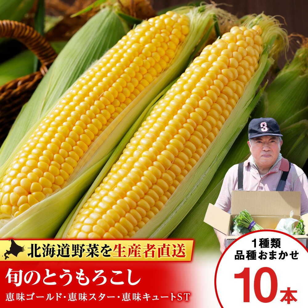 2026年夏発送 とうもろこし 10本セット（ゴールドラッシュ等）【土居ファーム】 野菜 とうもろこし【北海道千歳市】ギフト ふるさと納税
