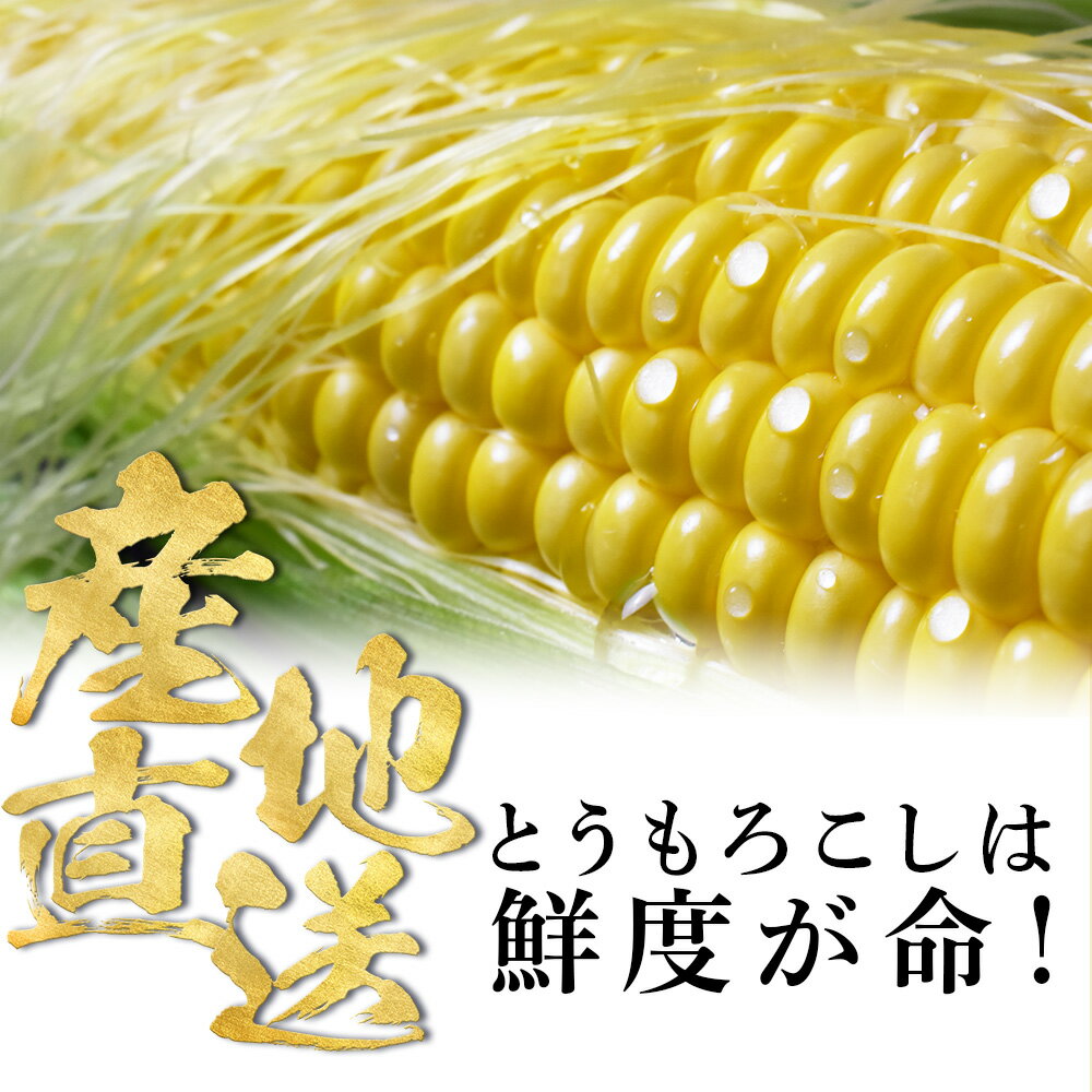 【ふるさと納税】 2026年夏発送 とうもろこし 10本セット（ゴールドラッシュ等）【土居ファーム】 野菜 とうもろこし【北海道千歳市】ギフト ふるさと納税 - 画像2
