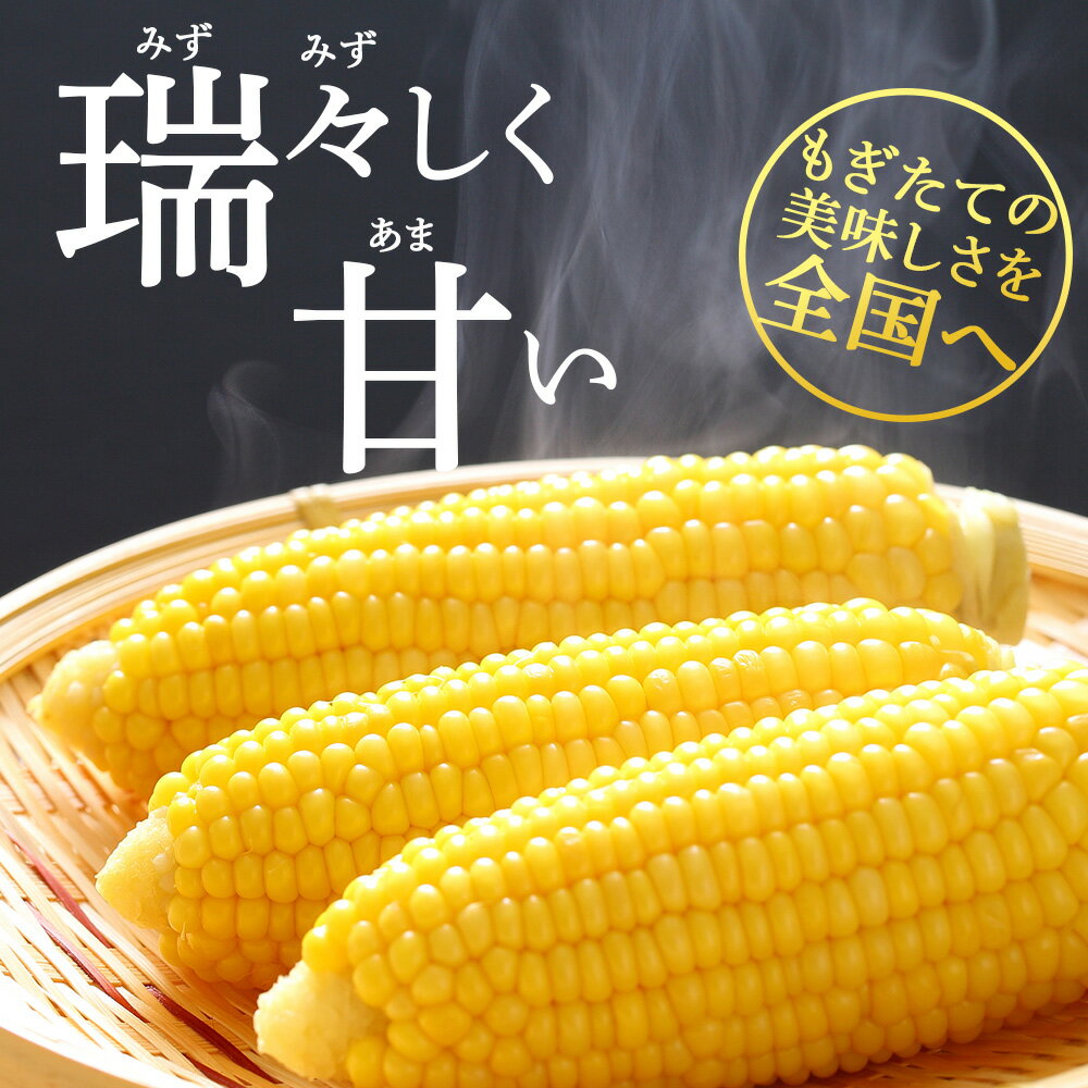 【ふるさと納税】 2026年夏発送 とうもろこし 10本セット（ゴールドラッシュ等）【土居ファーム】 野菜 とうもろこし【北海道千歳市】ギフト ふるさと納税 - 画像3