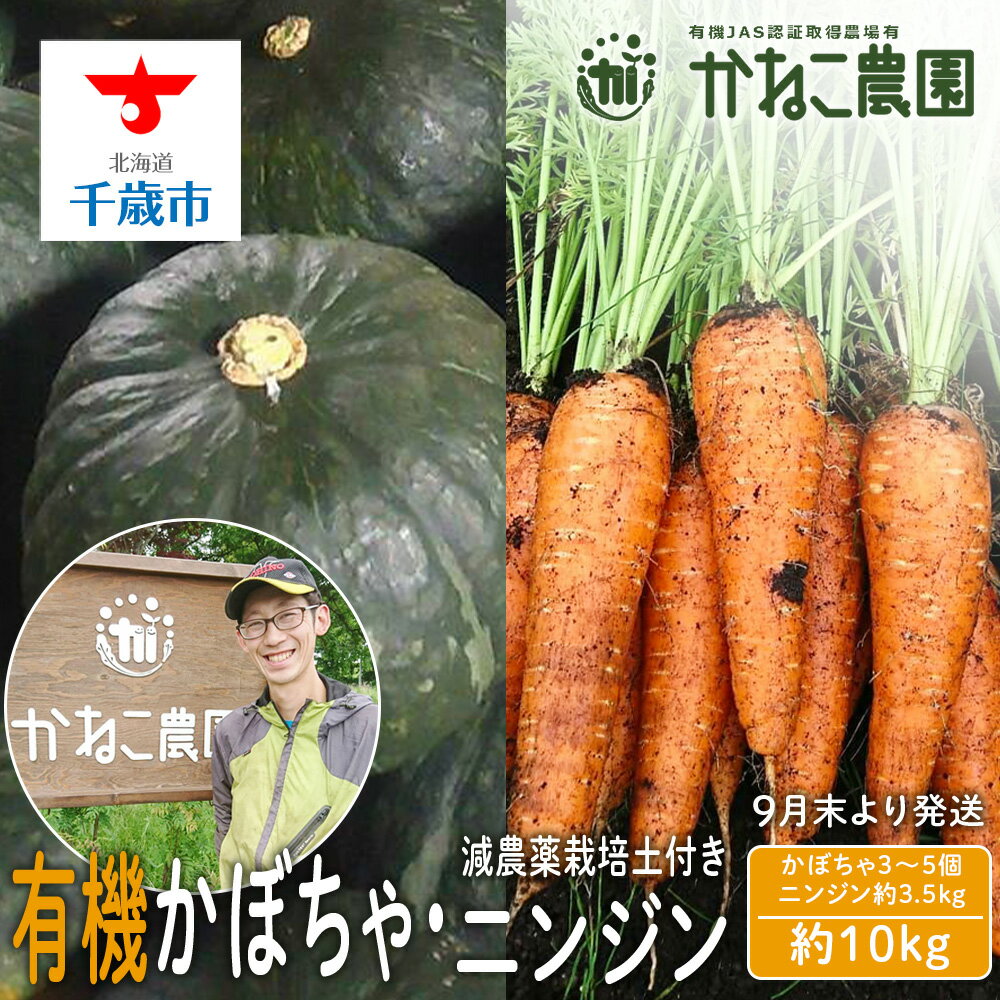 【2026年9月末より発送】栽培期間農薬不使用有機かぼちゃ・減農薬栽培土付きニンジンセット【かねこ農園】北海道ふるさと納税 野菜 南瓜 有機栽培 有機野菜 人参 JAS認定圃場 北海道 【北海道千歳市】