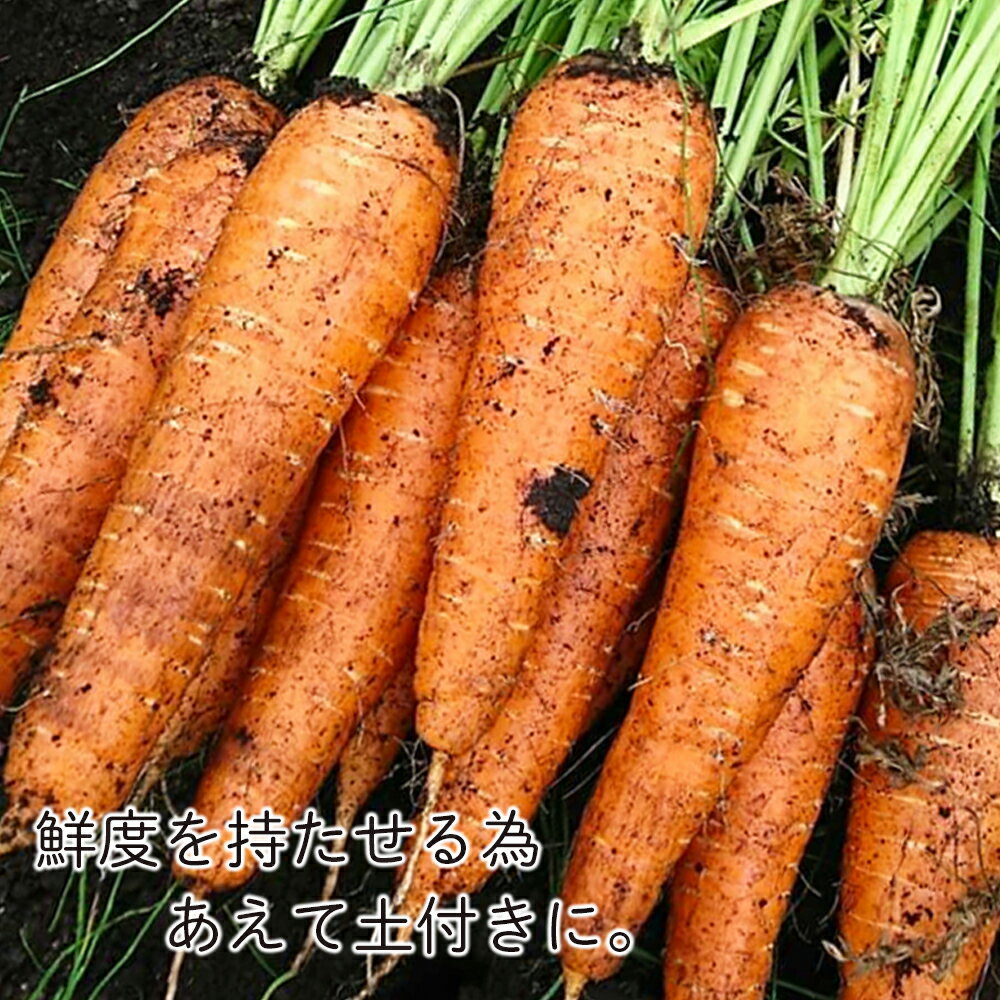 【ふるさと納税】【2026年9月末より発送】栽培期間農薬不使用有機かぼちゃ・減農薬栽培土付きニンジンセット【かねこ農園】北海道ふるさと納税 野菜 南瓜 有機栽培 有機野菜 人参 JAS認定圃場 北海道 【北海道千歳市】 - 画像2