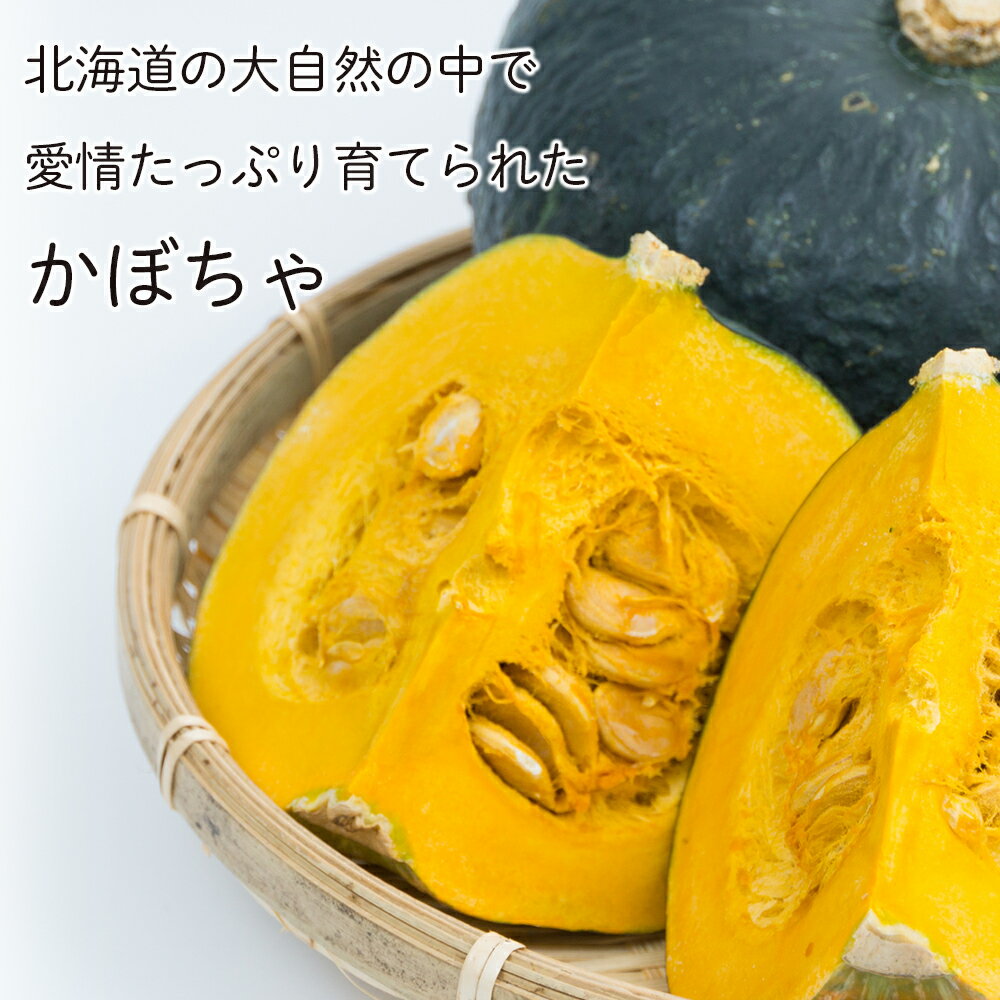 【ふるさと納税】【2026年9月末より発送】栽培期間農薬不使用有機かぼちゃ・減農薬栽培土付きニンジンセット【かねこ農園】北海道ふるさと納税 野菜 南瓜 有機栽培 有機野菜 人参 JAS認定圃場 北海道 【北海道千歳市】 - 画像3