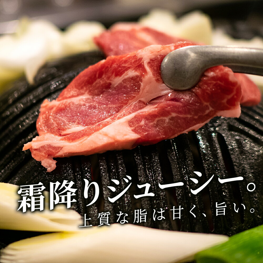【ふるさと納税】特撰 生ラム（冷凍）タレ付 選べる400g～600g 1パック200g 選べる発送月 ＜肉の山本＞ ラム肉 羊肉 ジンギスカン タレ ラム 鍋 【北海道千歳市】ギフト ふるさと納税 サムネイル2
