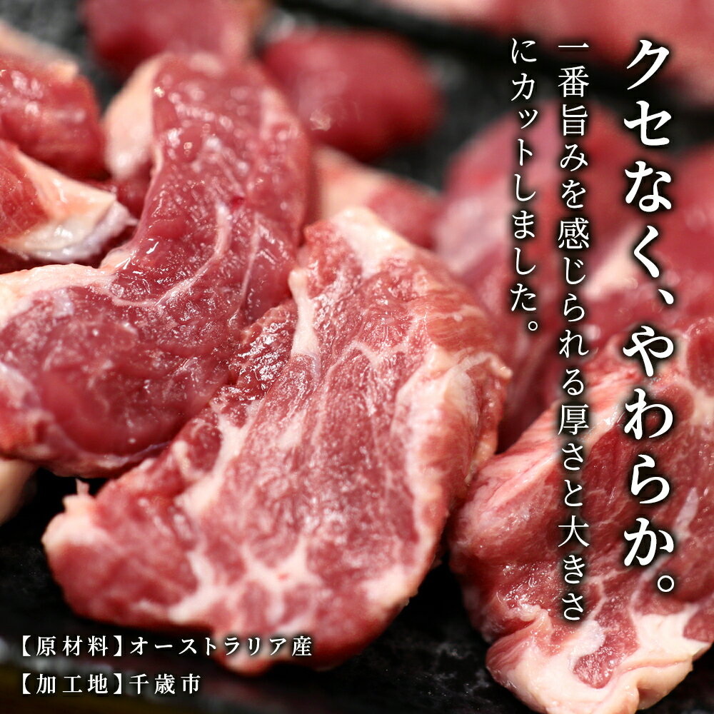 【ふるさと納税】特撰 生ラム（冷凍）タレ付 選べる400g～600g 1パック200g 選べる発送月 ＜肉の山本＞ ラム肉 羊肉 ジンギスカン タレ ラム 鍋 【北海道千歳市】ギフト ふるさと納税 サムネイル3