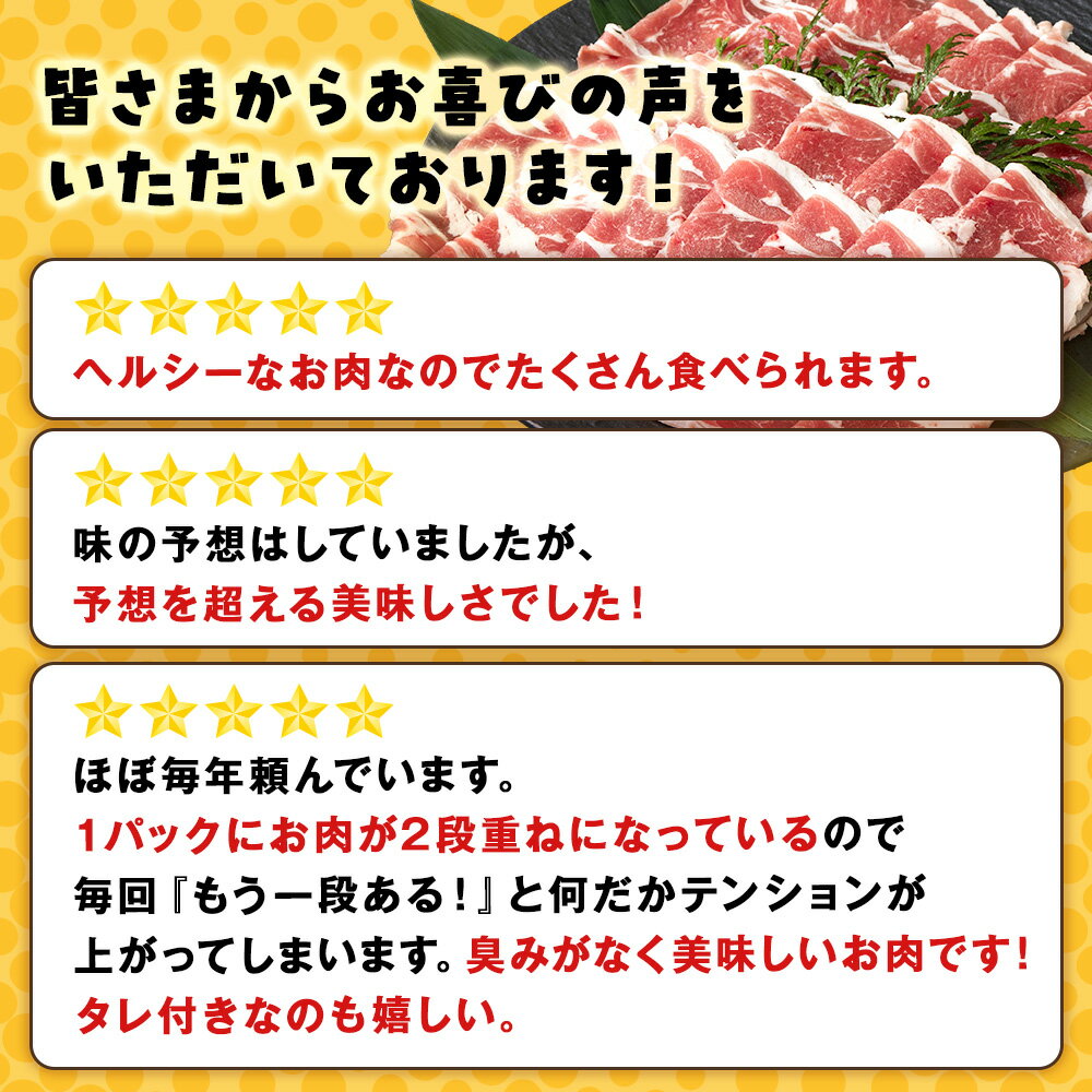 【ふるさと納税】＜フジテレビ『どっちのふるさと？』で紹介＞ ラム しゃぶタレ付き 選べる2～5パック 1パック500g 選べる発送月 ＜肉の山本＞北海道ふるさと納税 お肉 肉 にく ニク ふるさと納税肉 北海道 千歳市 羊肉 ラムしゃぶしゃぶギフト サムネイル3