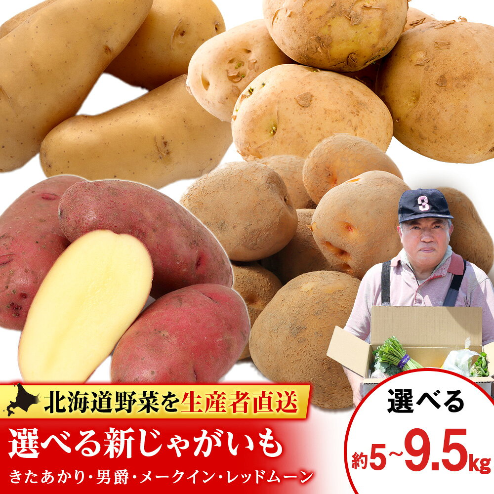 選べる新じゃがいも 選べる5kg・9.5kg《 土居ファーム 》 やさい いも 芋 きたあかり 男爵 レッドムーン メークイン じゃがいも 野菜 千歳 北海道【北海道千歳市】ギフト ふるさと納税