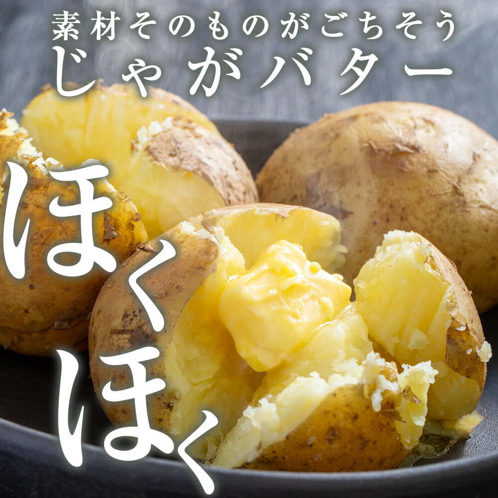 【ふるさと納税】選べる新じゃがいも 選べる5kg・9.5kg《 土居ファーム 》 やさい いも 芋 きたあかり 男爵 レッドムーン メークイン じゃがいも 野菜 千歳 北海道【北海道千歳市】ギフト ふるさと納税 - 画像2