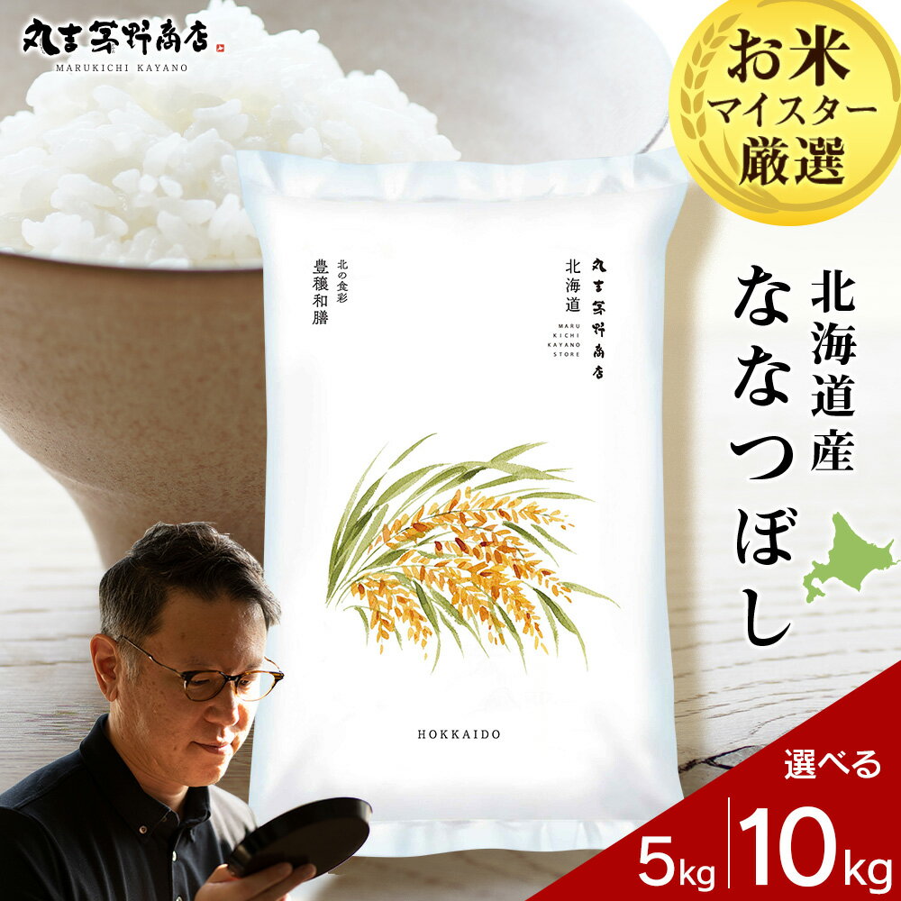 令和7年産新米発送 北海道産ななつぼし 選べる5kg〜10kg 1袋5kg 真空パック対応特A 米 お米 北海道産米 ななつぼし 真空パック 米 北海道米 北海道産 北海道千歳市ギフト ふるさと納税