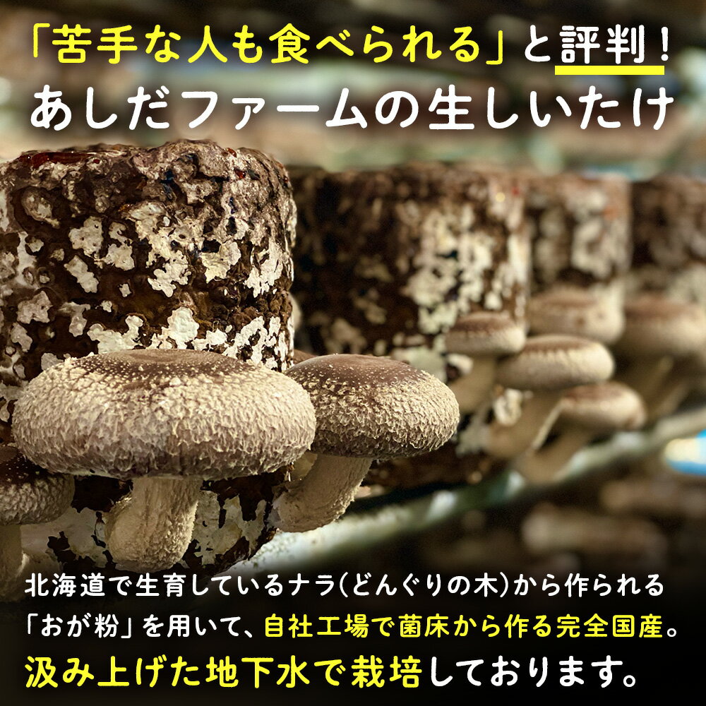 【ふるさと納税】菌床 生しいたけ 選べる900g〜1.8kg 大きい 肉厚 シイタケ 椎茸 生椎茸 生シイタケ 千歳 北海道 《 あしだファーム 》椎茸 しいたけ きのこ キノコ 茸 野菜 北海道ふるさと納税 ふるさと納税 北海道 千歳市 【北海道千歳市】ギフト ふるさと納税 - 画像3