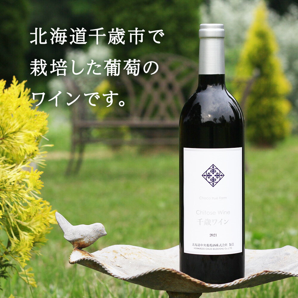 【ふるさと納税】千歳ワイン2022（Chitose Wine）750ml 選べる1本・2本＜ ギフト箱 入 ＞　ワイン 酒 お酒 ギフト 千歳 北海道 2021フィールドワイン ワイン 赤ワイン 赤 千歳ワイン 北海道ふるさと納税 千歳市 ふるさと納税【北海道千歳市】ギフト ふるさと納税 サムネイル2