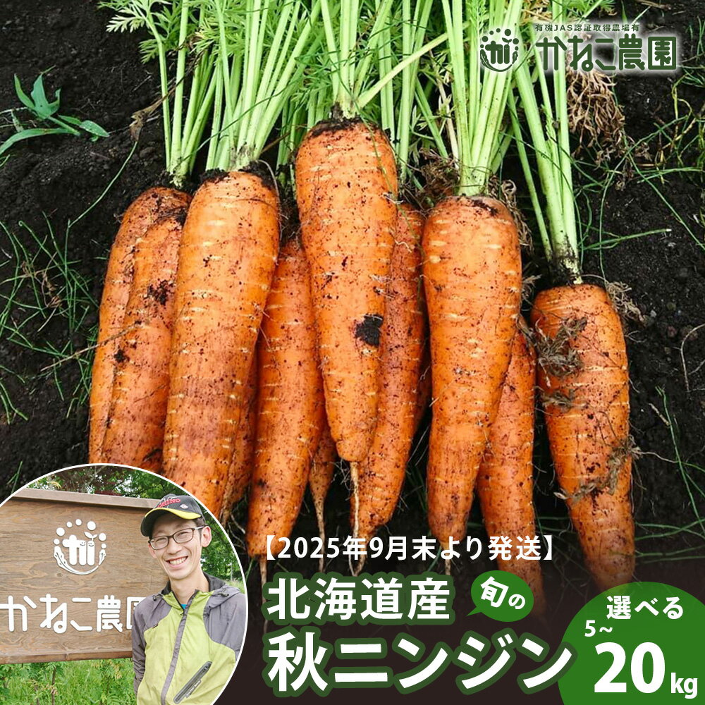 【2026年9月末より発送】北海道産 旬の秋ニンジン 選べる5kg〜20kg 【かねこ農園】北海道ふるさと納税 人参 野菜 にんじん 秋人参 北海道 【北海道千歳市】