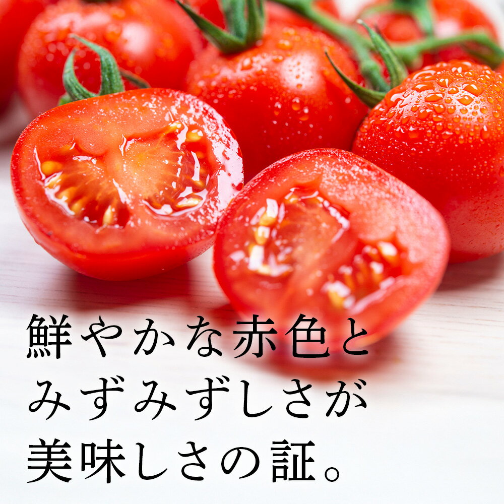 【ふるさと納税】【2026年発送】〈萬福農研〉産地直送！ミニトマト (プレミアムルビー) 選べる1kg〜2kg北海道ふるさと納税 野菜 トマト 産直 ミニトマト 北海道 【北海道千歳市】 - 画像2
