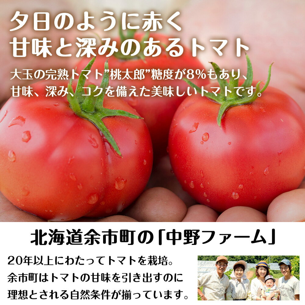 【ふるさと納税】北海道 完熟トマト 酎ハイ 350ml 選べる24本～48本 (1箱24本) 酒 セイコーマート セコマ Secoma 千歳 酒 お酒 チューハイ 缶チューハイ サワー 北海道ふるさと納税 ふるさと納税 北海道 千歳市 【北海道千歳市】ギフト ふるさと納税 サムネイル3