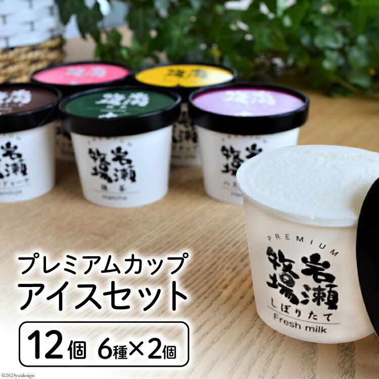 プレミアム カップ アイス 110ml ×12個 セット 詰め合わせ 食べ比べ [岩瀬牧場 北海道 砂川市 12260340] アイスクリーム カップアイス イタリアン ジェラート デザート スイーツ お菓子 おやつ あいす