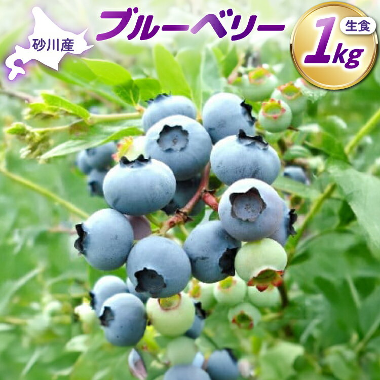 高評価★4.72 〈先行予約〉 生食 ブルーベリー 1kg [ノーザン・ベリーズ 北海道 砂川市 12260529] 果物 フルーツ 国産 期間限定 数量限定 自家栽培
