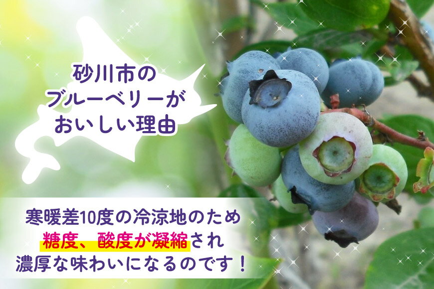 【ふるさと納税】 高評価★4.72 〈先行予約〉 生食 ブルーベリー 1kg [ノーザン・ベリーズ 北海道 砂川市 12260529] 果物 フルーツ 国産 期間限定 数量限定 自家栽培 - 画像2