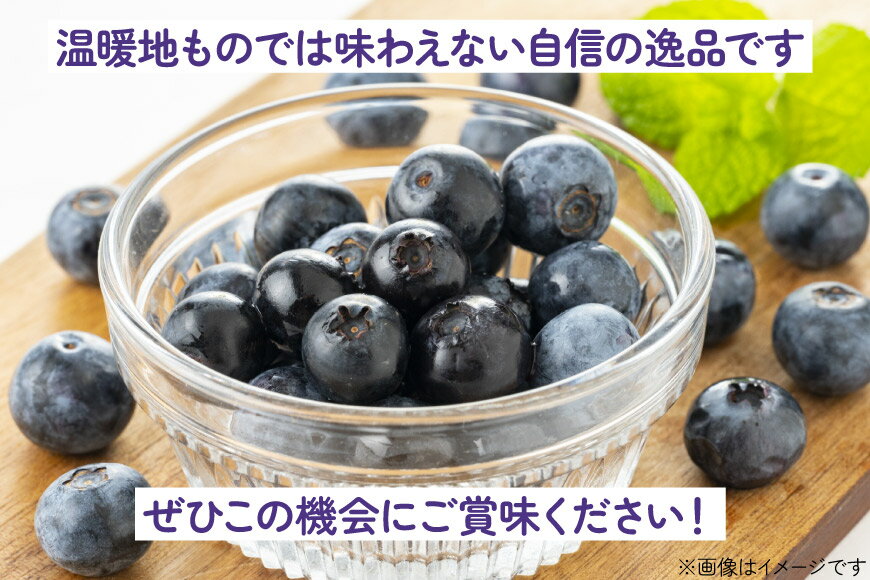 【ふるさと納税】 高評価★4.72 〈先行予約〉 生食 ブルーベリー 1kg [ノーザン・ベリーズ 北海道 砂川市 12260529] 果物 フルーツ 国産 期間限定 数量限定 自家栽培 - 画像3