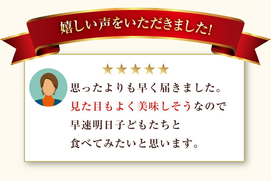 【ふるさと納税】 アップルパイ 冷凍 ナカヤのアップルパイ 選べる 内容量 6個 or 9個 [ナカヤ菓子店 北海道 砂川市 12260897] スイーツ デザート 菓子 お菓子 焼き菓子 りんご - 画像2