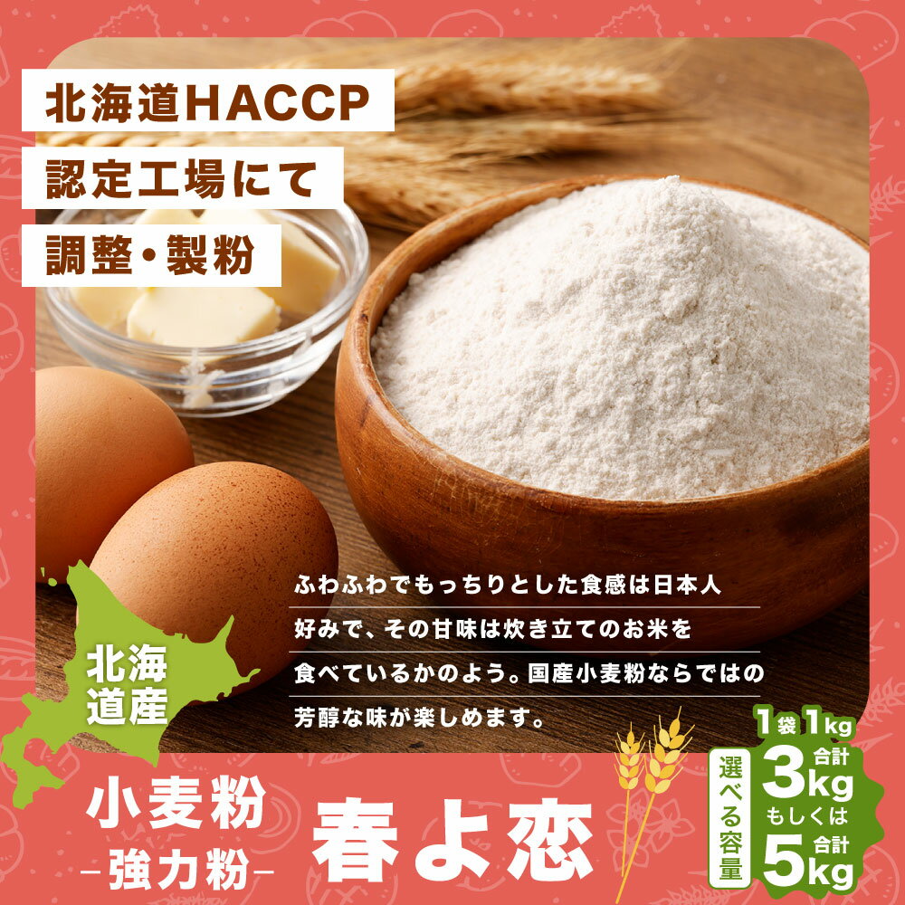 【ふるさと納税】北海道産 春よ恋 強力粉 合計 3kg または 5kg 1kg×3袋 1kg×5袋 国産 小麦粉 強力小麦粉 パン パン作り 製パン材料 製パン ホームベーカリー ふわふわ もっちり 北海道 深川市 送料無料 サムネイル2