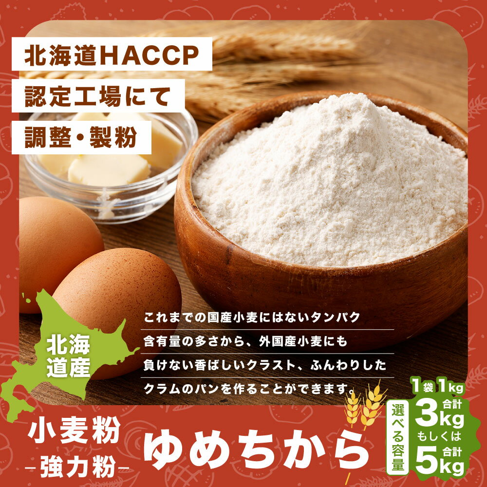 【ふるさと納税】北海道産 ゆめちから 強力粉 合計 3kg または 5kg 1kg×3袋 1kg×5袋 強力小麦粉 パン パン作り 冷凍パン生地 製パン材料 製パン 中華麺 生パスタ 麺作り 製麺 タンパク質 北海道 深川市 送料無料 サムネイル2