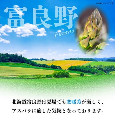 【ふるさと納税】2026年先行予約「生」で食べられる!北海道富良野産　グリーンアスパラ　1kg(極太2Lサイズ)_ アスパラ グリーンアスパラ 野菜 北海道 富良野 生 アスパラガス 旬 富良野市 採れたて 産地直送 人気 美味しい 【配送不可地域：離島】【1256498】 サムネイル3