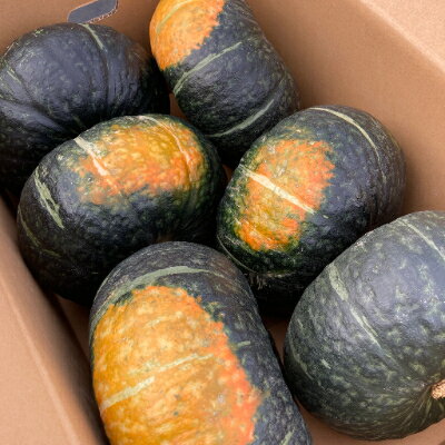 【ふるさと納税】【2026年発送　先行予約】かぼちゃ 1箱10kg(6～8玉)【1258786】 - 画像2