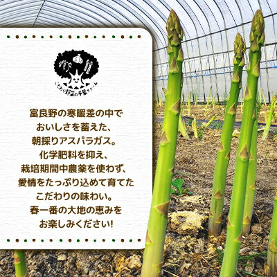 【ふるさと納税】【2026年発送】富良野産グリーンアスパラ約1kg M～2L[ビニールハウス栽培]【配送不可地域：離島】【1264526】 - 画像2