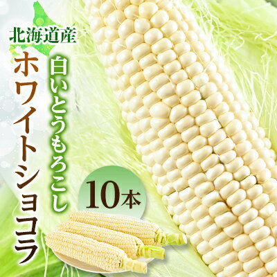 朝もぎ白いとうもろこし「ホワイトショコラ」10本入【配送不可地域：離島】【1265054】