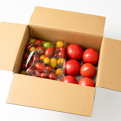 【ふるさと納税】【2026年発送】王様トマト麗夏3kg&多品種ミニトマト1kg食べ比べセット【配送不可地域：離島】【1268499】 - 画像2