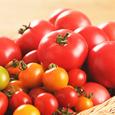 【ふるさと納税】【2026年発送】王様トマト麗夏3kg&多品種ミニトマト1kg食べ比べセット【配送不可地域：離島】【1268499】 - 画像3