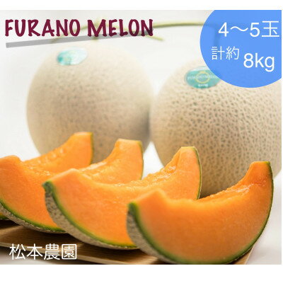【2026年発送】富良野メロン『厳選』4～5玉入(計約8kg)_ メロン めろん 富良野メロン 赤肉 フルーツ くだもの 果物 ふるーつ 青果 北海道 富良野 産直 産地直送 甘い 高糖度 贈答 ギフト 常温 季節限定 人気 【1286288】