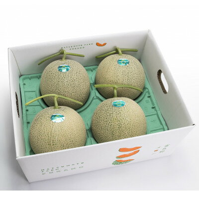 【ふるさと納税】【2026年発送】富良野メロン『厳選』4～5玉入(計約8kg)_ メロン めろん 富良野メロン 赤肉 フルーツ くだもの 果物 ふるーつ 青果 北海道 富良野 産直 産地直送 甘い 高糖度 贈答 ギフト 常温 季節限定 人気 【1286288】 サムネイル3