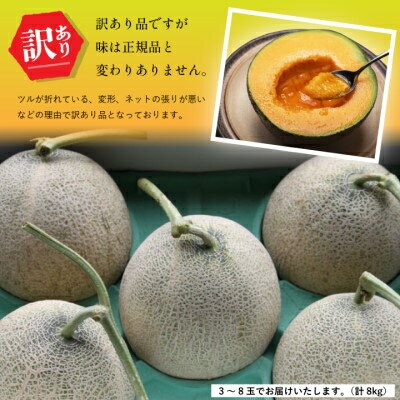 【ふるさと納税】2026年先行予約 訳あり 富良野メロン 8kg(3玉～8玉入)　ご家庭用_ メロン ふらのメロン フルーツ 訳あり 果物 くだもの 北海道 富良野市 富良野 人気 美味しい ギフト プレゼント おすすめ 送料無料 贈答 赤肉 【1292362】 サムネイル3