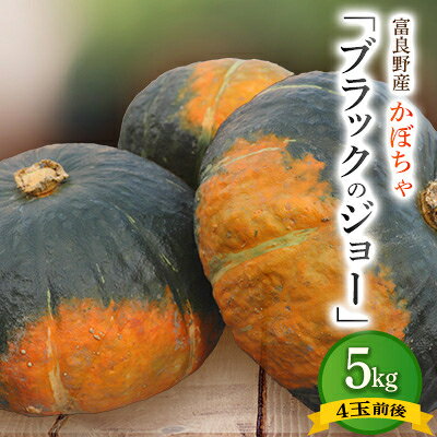 北海道 富良野市産 かぼちゃ「ブラックのジョー」5kg【2026年10月上旬より発送】【1301344】