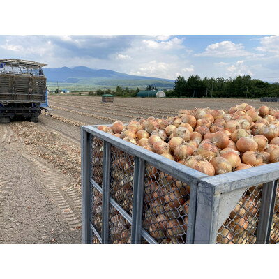 【ふるさと納税】【2026年発送　先行予約】玉ねぎ　1箱(20kg)_ 玉ねぎ たまねぎ 野菜 やさい 北海道 富良野 人気 おすすめ 送料無料 産地直送 お取り寄せ しゃきしゃき ポトフ 前多農場 【1308643】 - 画像3