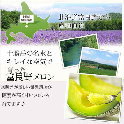 【ふるさと納税】2026年先行予約　富良野メロン (青肉) 1.5kg 2玉入り【1314540】 サムネイル2