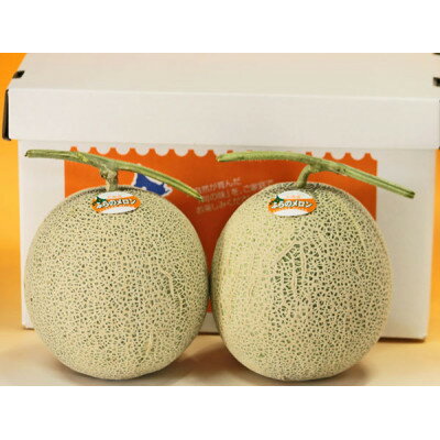 【ふるさと納税】2026年先行予約　富良野メロン (青肉) 1.5kg 2玉入り【1314540】 サムネイル3