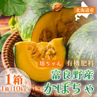 【2026年9月中旬～発送】北海道 ふらの 坊ちゃん かぼちゃ 無選別 約10kg (守田農園)【1333801】