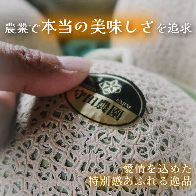 【ふるさと納税】【2026年9月中旬～発送】北海道 ふらの 坊ちゃん かぼちゃ 無選別 約10kg (守田農園)【1333801】 - 画像2
