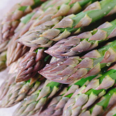 【ふるさと納税】【2026年発送】富良野産　ハウス栽培グリーンアスパラ(M～2Lサイズ混合) 2kg【配送不可地域：離島】【1360840】 - 画像3