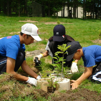 【ふるさと納税】【あなたの木を富良野に植えます】富良野の自然を守る植樹代行券(苗木1本)【1371503】 サムネイル2