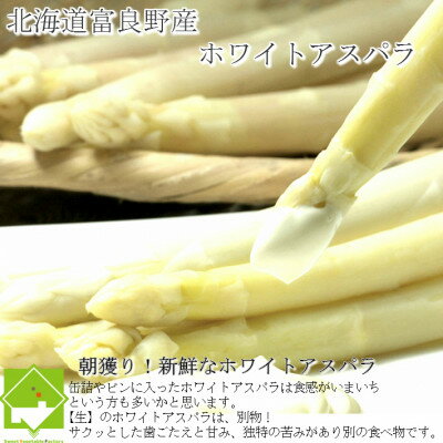 【ふるさと納税】2026年先行予約　北海道富良野産 ホワイトアスパラ 1kg SからLサイズ混合_ アスパラ アスパラガス ホワイトアスパラ 野菜 国産 北海道産 富良野 産地直送 旬 生 冷蔵 とれたて 新鮮 送料無料 贈答 ギフト 朝どれ 【配送不可地域：離島】【1380121】 - 画像2