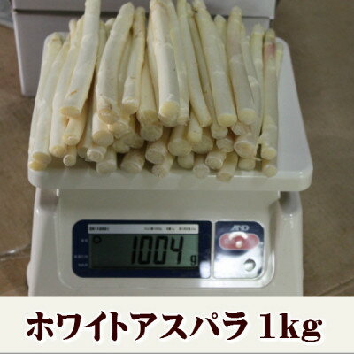 【ふるさと納税】2026年先行予約　北海道富良野産 ホワイトアスパラ 1kg SからLサイズ混合_ アスパラ アスパラガス ホワイトアスパラ 野菜 国産 北海道産 富良野 産地直送 旬 生 冷蔵 とれたて 新鮮 送料無料 贈答 ギフト 朝どれ 【配送不可地域：離島】【1380121】 - 画像3