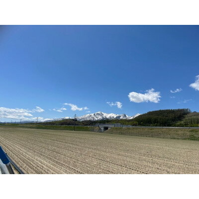 【ふるさと納税】【2026年発送】美味!秋の富良野メロン(レッド113)赤肉 2～2.5kg×1玉入　糖度15度以上_ メロン めろん 富良野メロン 赤肉 レッド 富良野 北海道 産直 産地直送 甘い 贈答 ギフト高糖度 旬 果物 くだもの フルーツ 青果 ふるーつ 果実 1玉 【1398945】 サムネイル3