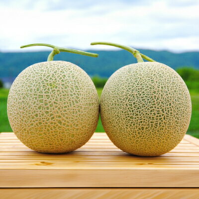【ふるさと納税】【2026年発送　先行予約】富良野メロン(赤肉)夏ギフト1.3kg～1.6kg未満2玉入_ メロン めろん 赤肉 果物 くだもの フルーツ ふるーつ 青果 ふらのメロン 富良野 北海道 産地直送 国産 人気 おすすめ 送料無料 お取り寄せ ギフト 贈答 化粧箱 【1405303】 サムネイル3