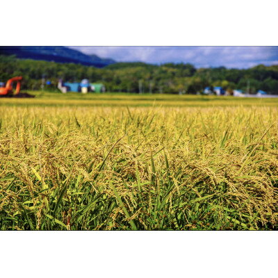 【ふるさと納税】令和7年産　北海道富良野産「ゆめぴりか」精米5kg_ 米 こめ コメ ゆめぴりか 白米 お米 国産 おこめ 北海道 富良野 産直 産地直送 ブランド米 5kg 北海道産 贈答 ギフト ご飯 富良野産 精白米 精米 【1405321】 - 画像2