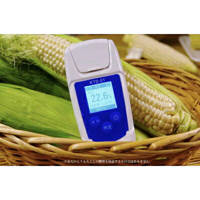 【ふるさと納税】白いとうもろこし「スノーエンジェル」北海道富良野産 L～2L 10本入_ とうもろこし コーン トウモロコシ 野菜 ホワイトコーン 朝採れ 人気 産地直送 甘い 送料無料 希少 限定 人気 おすすめ 北海道 富良野 【配送不可地域：離島】【1405480】 - 画像3