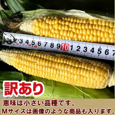 【ふるさと納税】2026年先行予約　生で食べられるトウモロコシ　訳あり　恵味(めぐみ)　6本入り【配送不可地域：離島】【1417282】 - 画像3