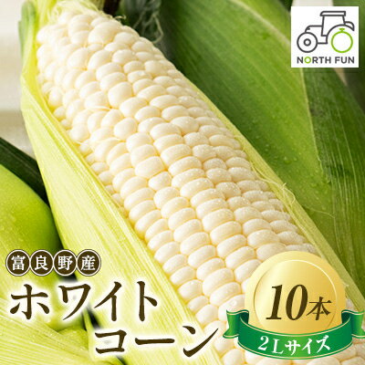 富良野産ホワイトコーン『ホワイトショコラ』 2Lサイズ 10本_ とうもろこし 野菜 トウモロコシ コーン ホワイトコーン 北海道 富良野市 人気 おすすめ 送料無料 贈答 ギフト ホワイトショコラ 2Lサイズ 【配送不可地域：離島】【1418003】